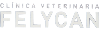 Felycan Clinica Veterinaria